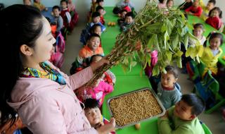 济南大地幼儿园都有几个 山东幼儿园