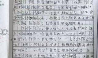 作文我学会了煮饭,怎么写 我学会了作文