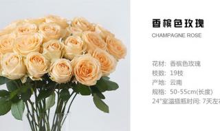 不同朵数的玫瑰花花语是什么 25朵玫瑰花语