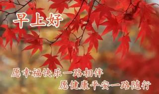 1110是澳大利亚什么节日 10月10日是什么日子