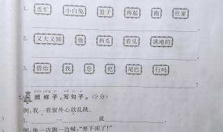 一年级第一学期语文期末考试卷面分析怎么写 小学一年级语文期末试卷