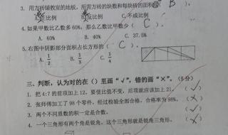 数学六年级下册所有概念和公式 六年级下册数学网课免费