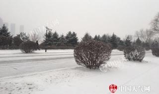 哈尔滨发布暴雪红色预警是什么概念 黑龙江发布暴雪红色预警