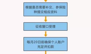 自己怎么交养老保险费 养老保险办理流程